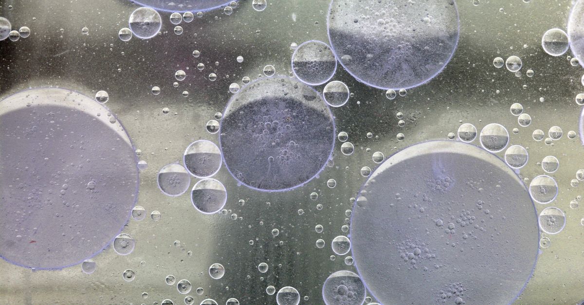 Large pale discs of oil float among tiny bubbles on a water surface, seen up close.